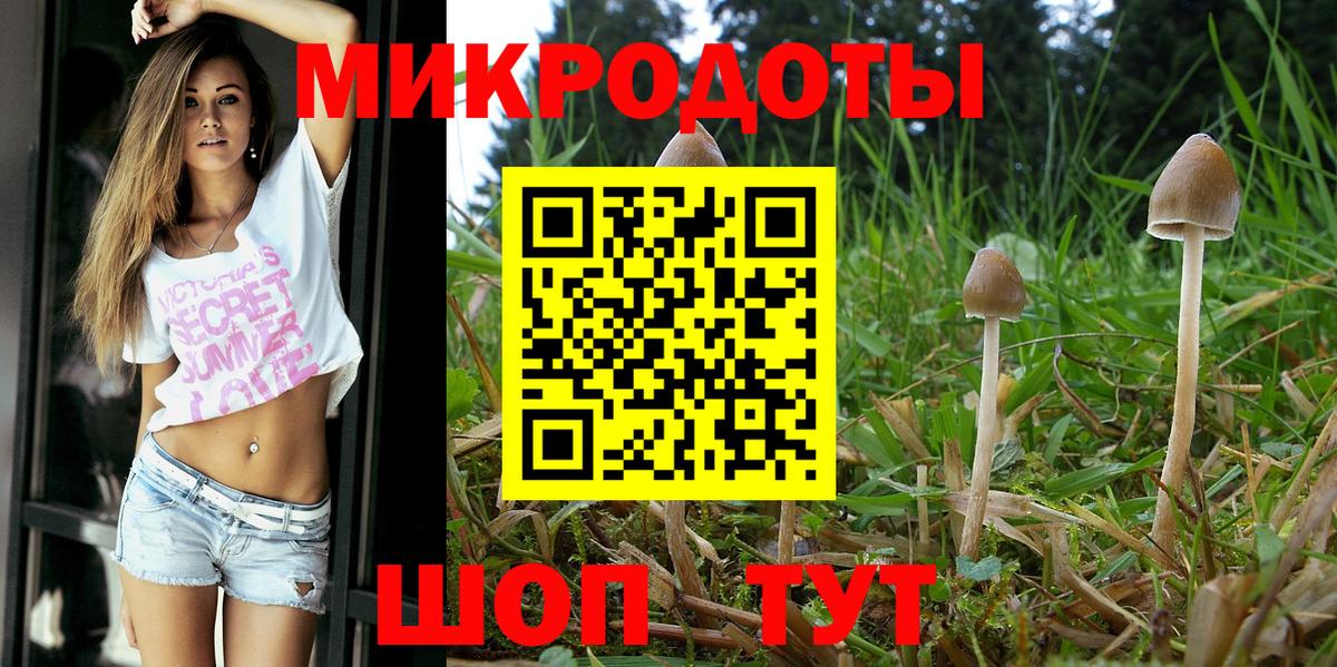Псилоцибиновые грибы мицелий  Вход с VPN  Кириши  Псилоцибиновые грибы Magic Shrooms 